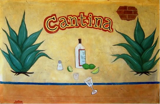Mexican Theme Backdrop