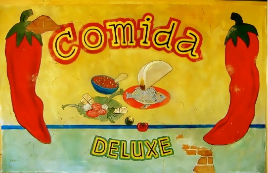 Mexican Theme Backdrop